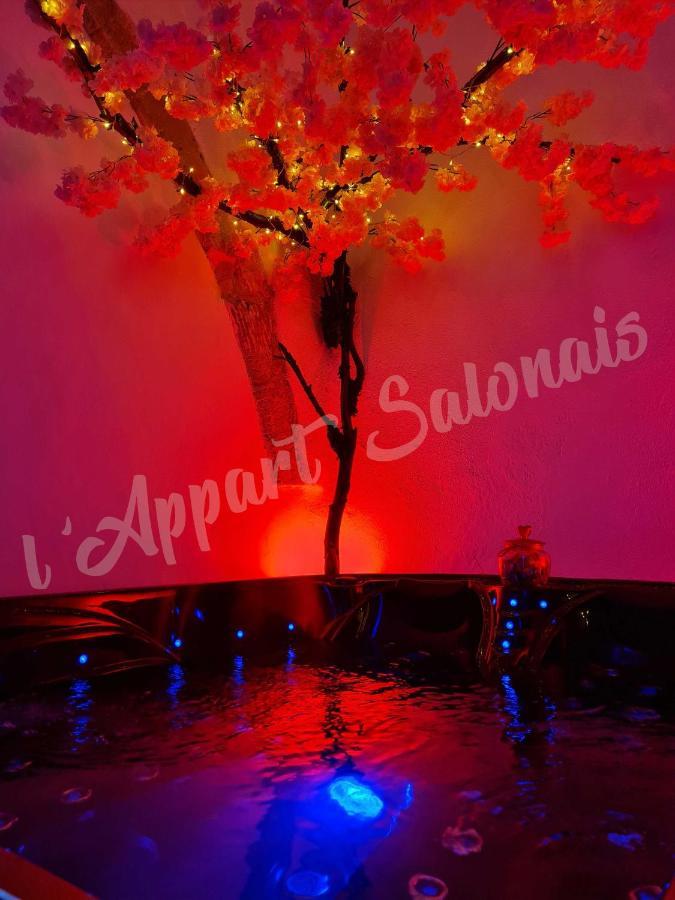 Lappart-Salonais 70M2 Avec Jacuzzi Privatif ภายนอก รูปภาพ
